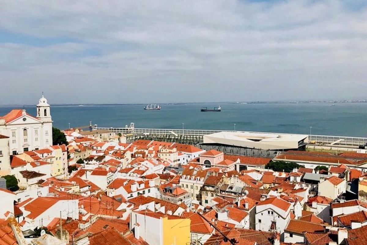 a view of a city with red roofs and the ocean