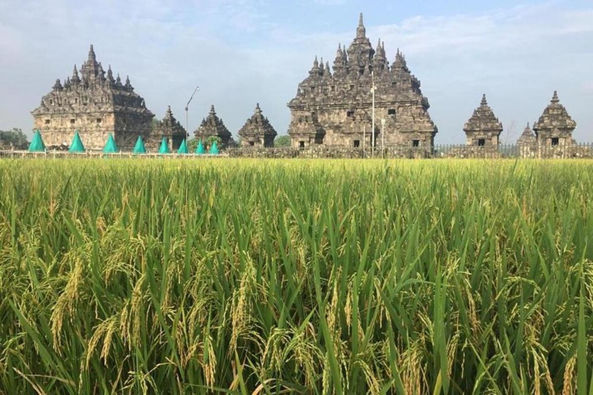 un campo d'erba con edifici sullo sfondo