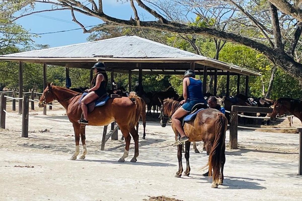two people riding horses in front of a group of horses