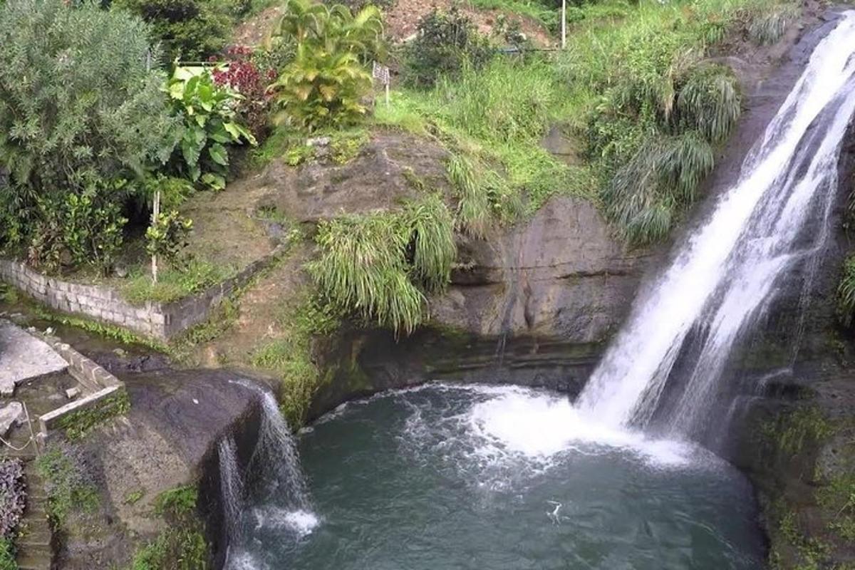 a waterfall in a park with a pool of water