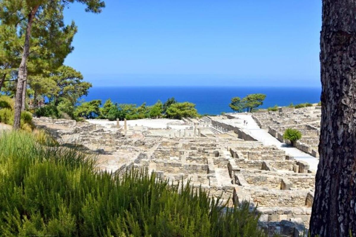 ancient ruins with trees and the ocean in the background