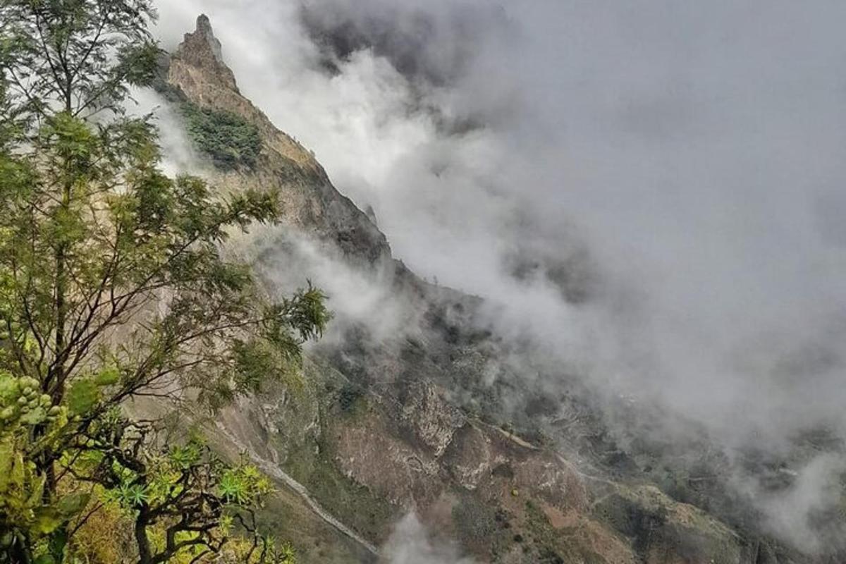 a mountain with clouds on it with trees on it