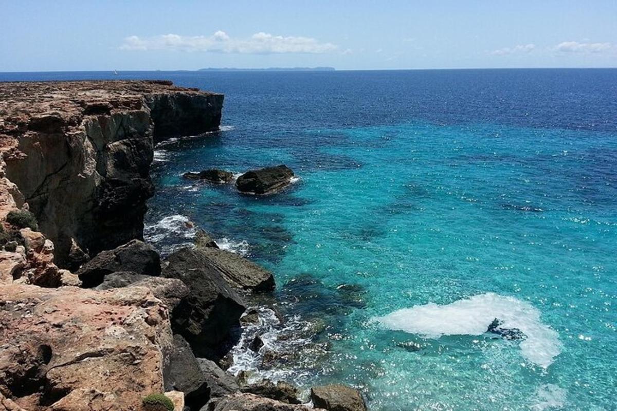 una vista dell'oceano da una scogliera