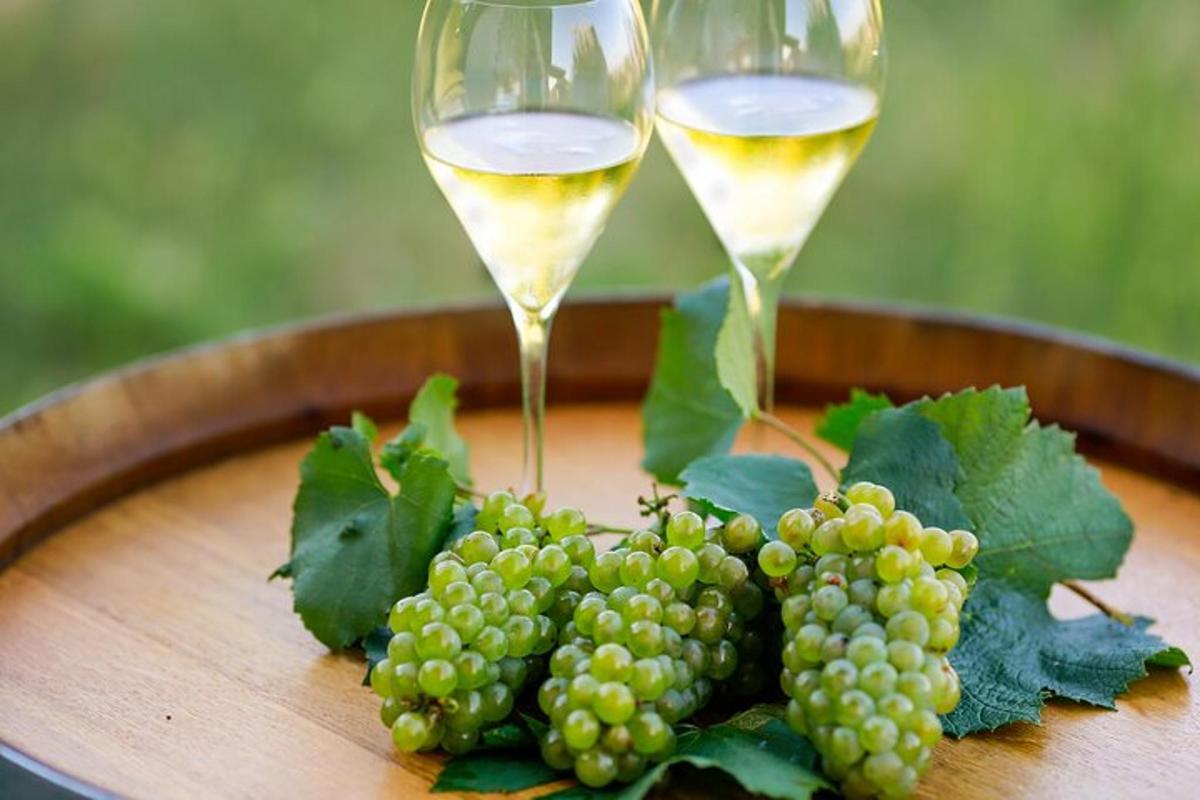 dva kozarca belega vina in grozdje na mizi