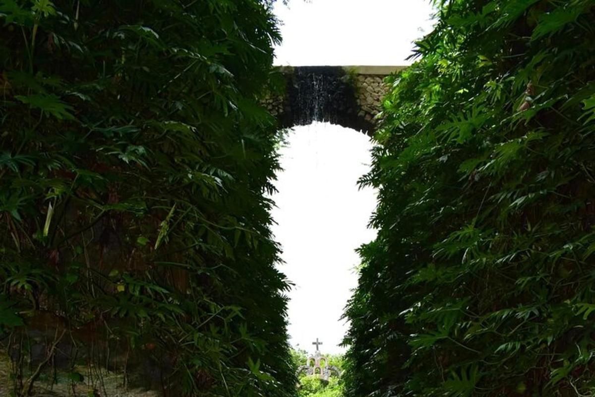 un tunnel di alberi con un ponte sullo sfondo