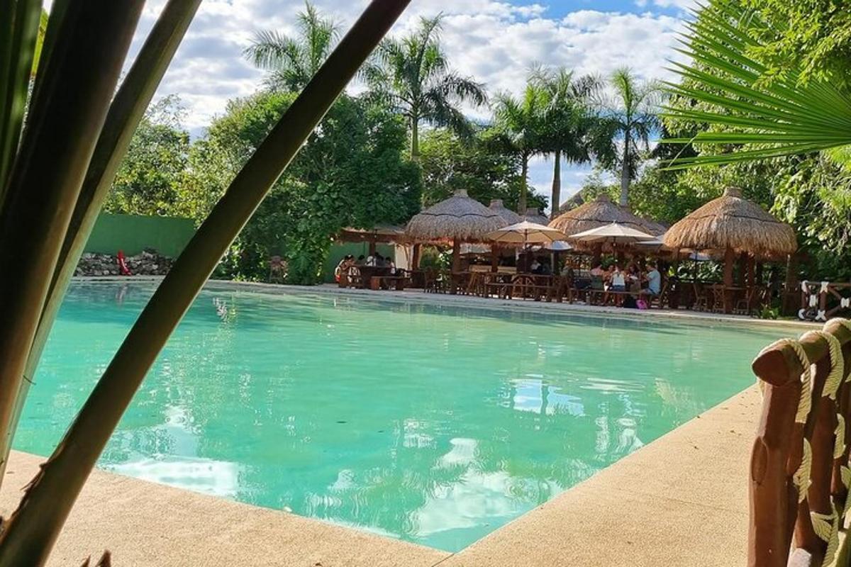 uma piscina com guarda-sóis e um restaurante