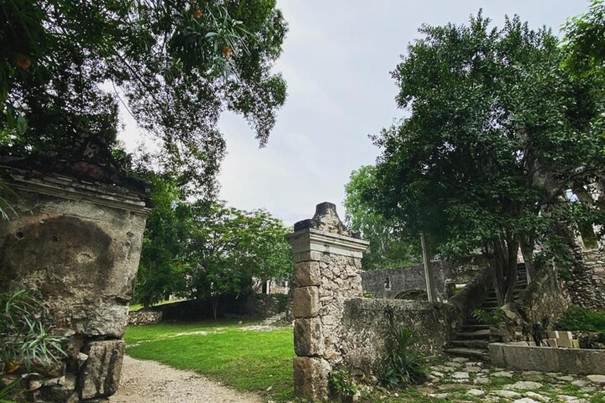 un vecchio muro di pietra con scale e alberi