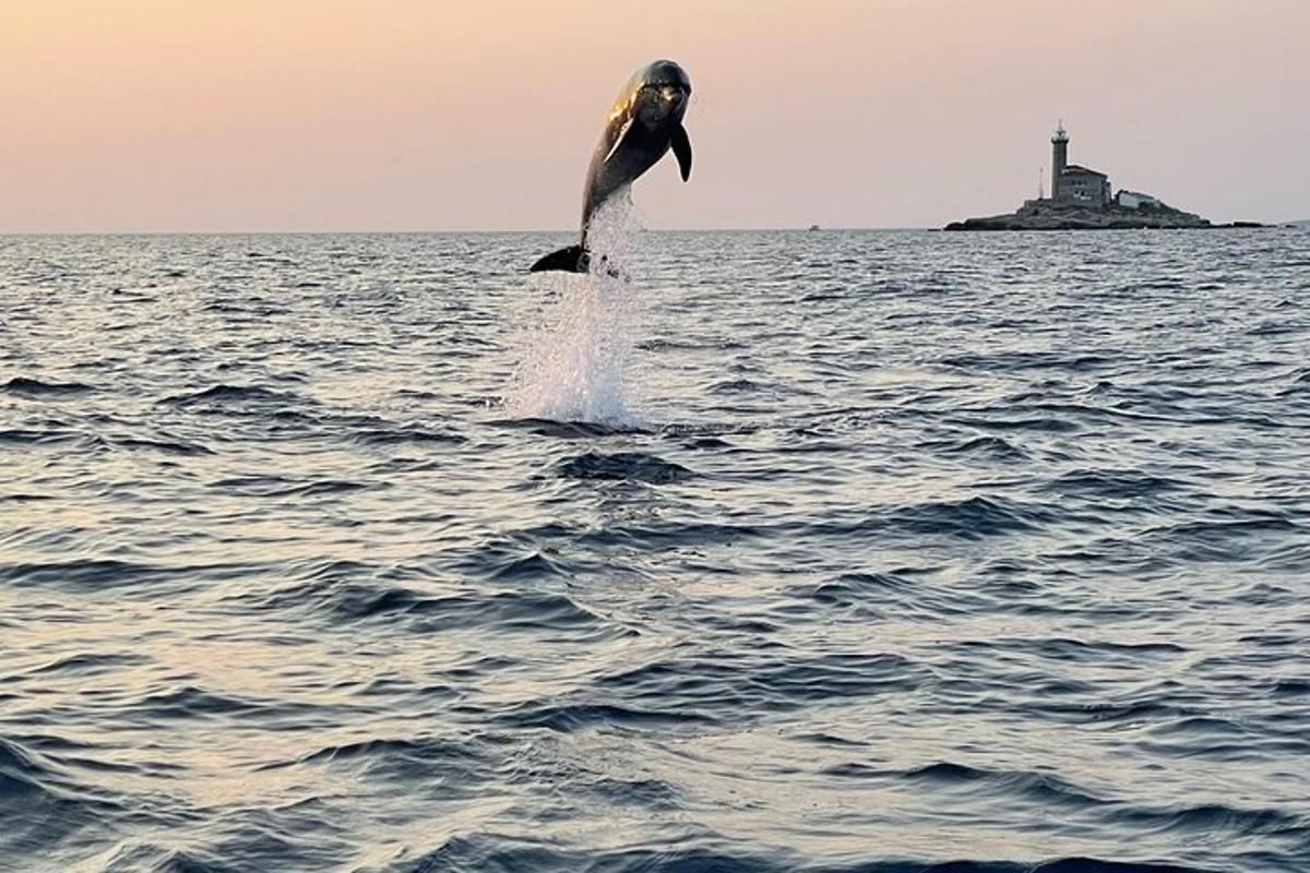 Ένα δελφίνι πηδάει έξω από το νερό με έναν φάρο στο φόντο