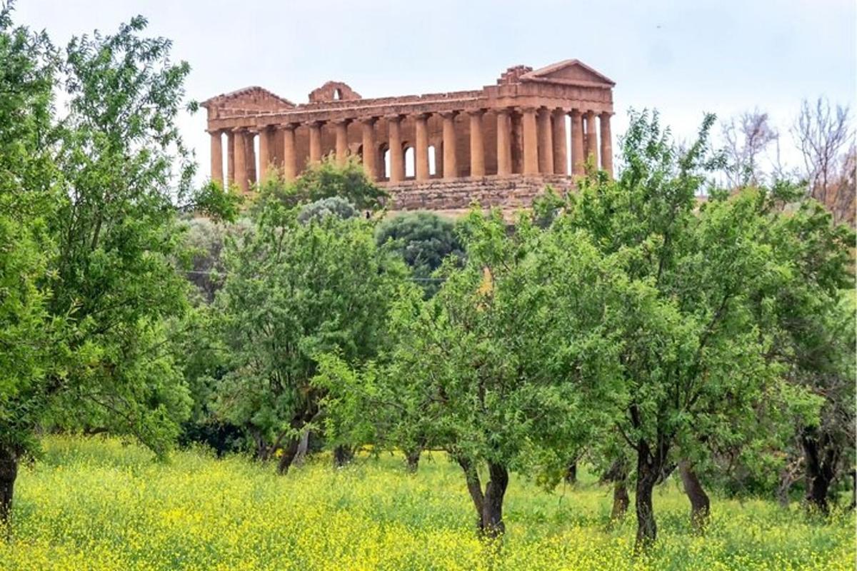 a building in the background with trees in the foreground