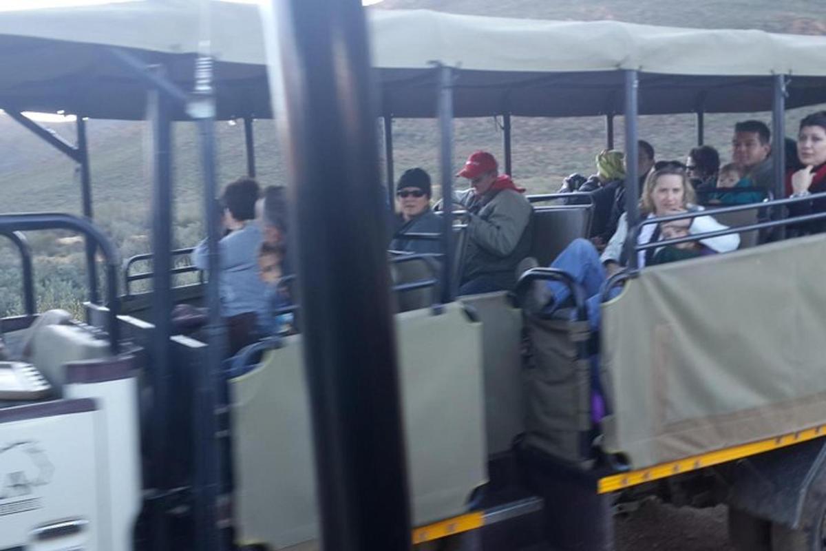 skupina lidí jedoucích v tramvaji