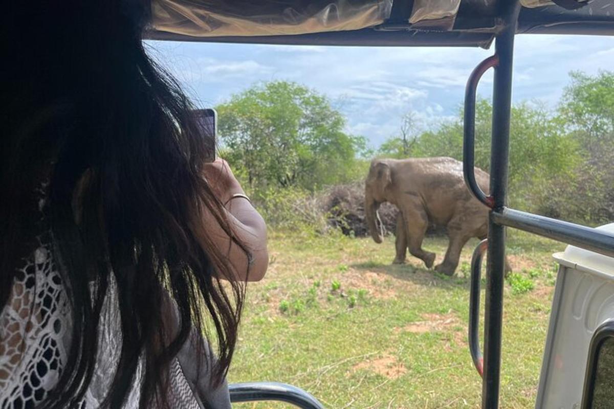o femeie care fotografiază un elefant dintr-un autobuz