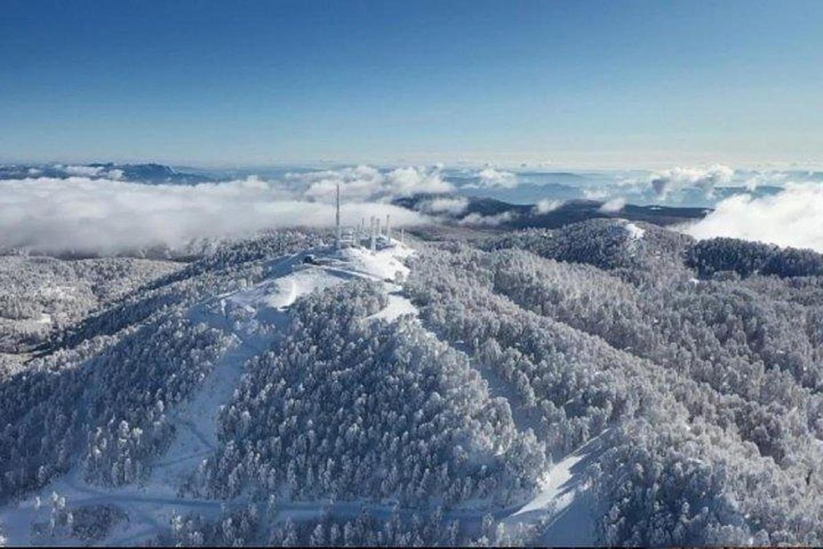 eine Luftaufnahme eines schneebedeckten Berges mit Bäumen