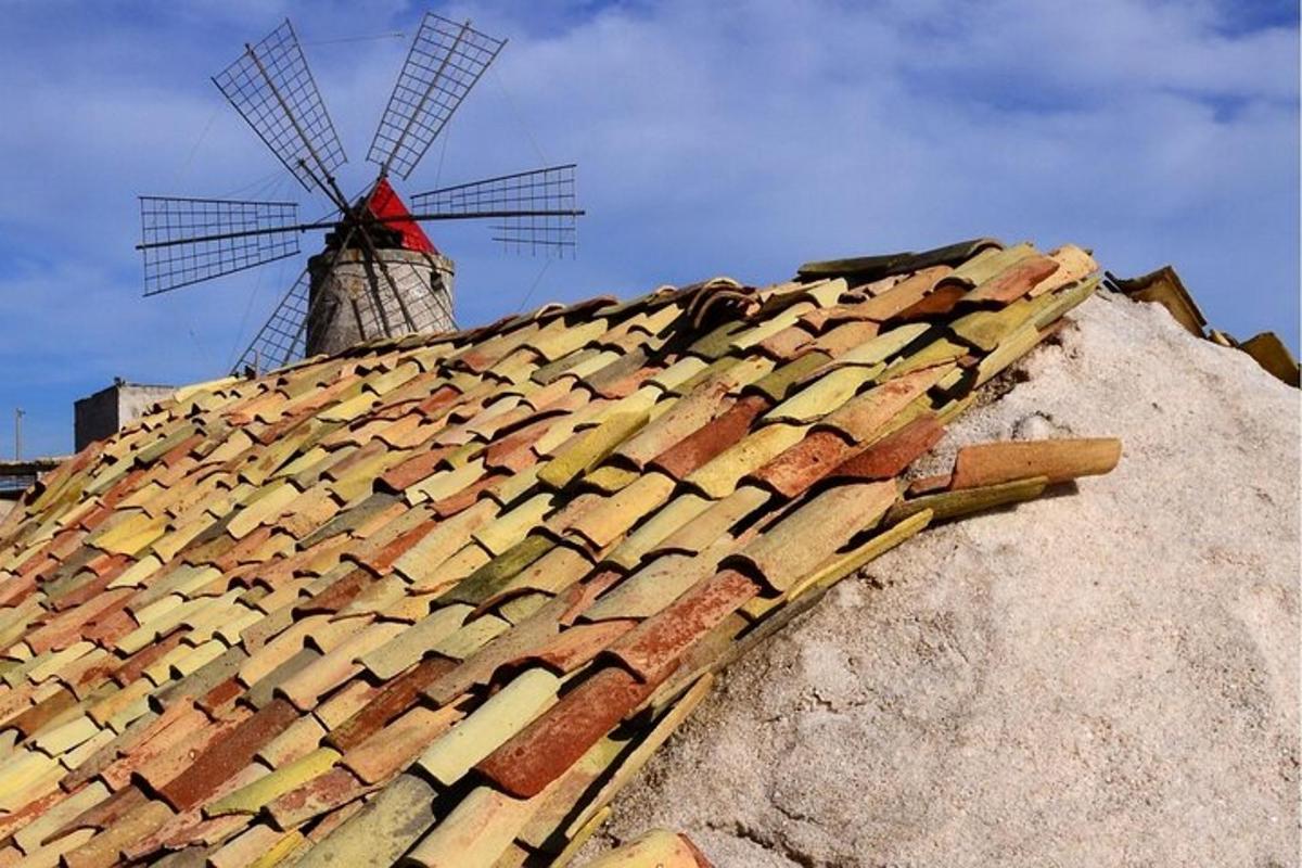 una teulada de teules amb un molí de vent a sobre