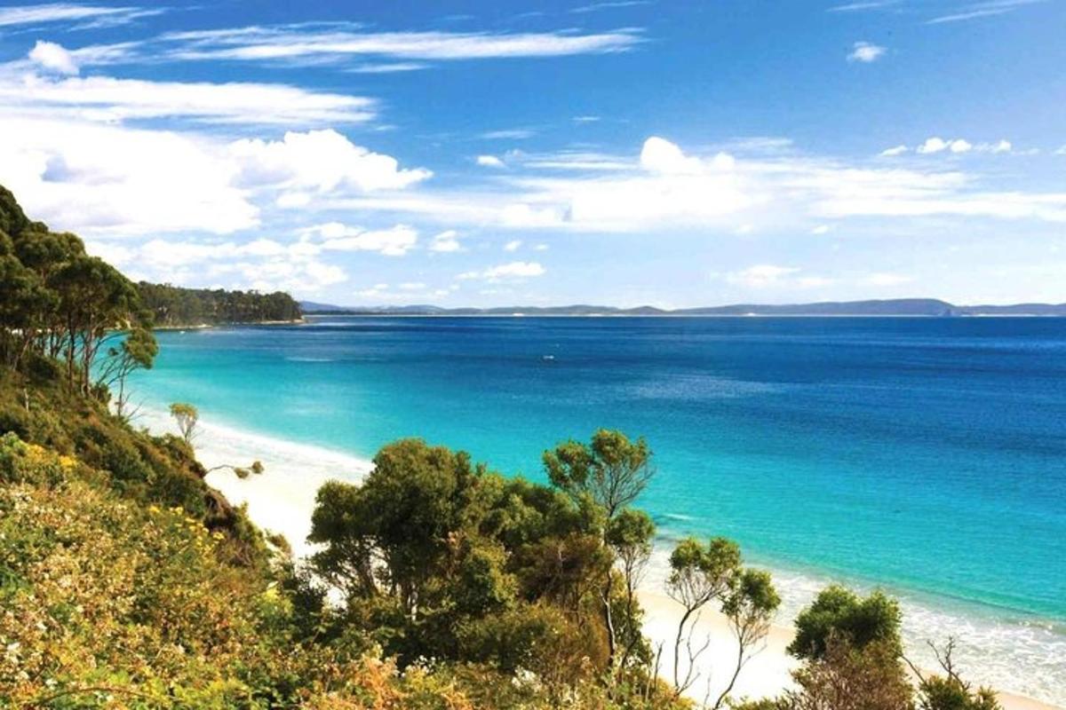 una spiaggia con acqua blu e alberi su una collina