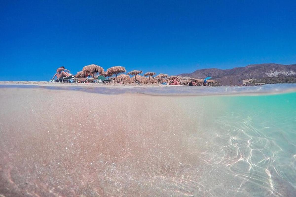 uma praia com um grupo de guarda-sóis e a água