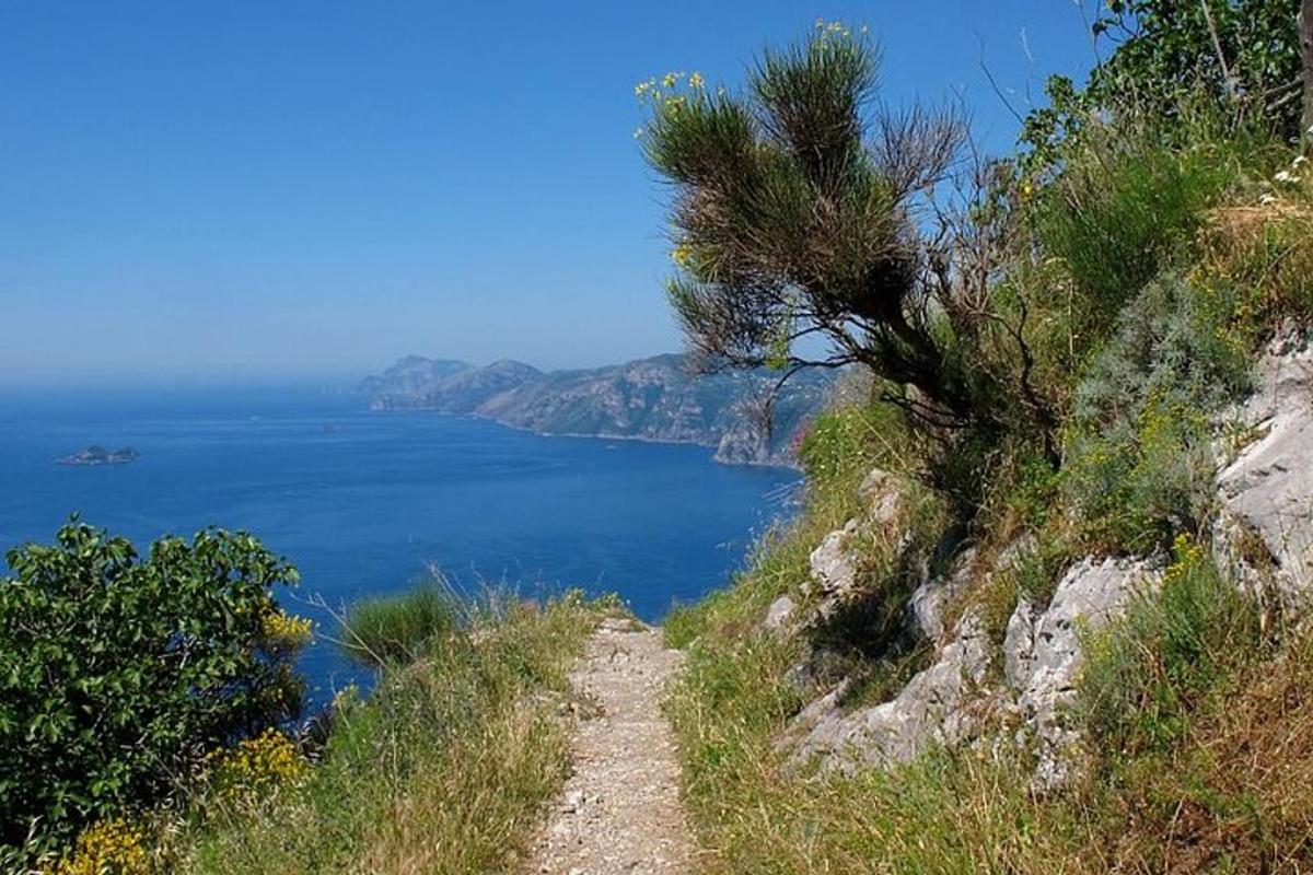 um caminho em uma colina perto do oceano