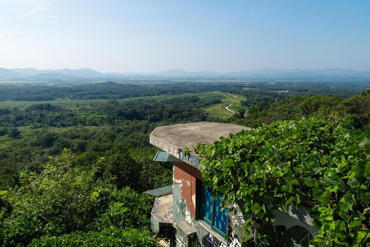 un edificio con viti che crescono sul lato