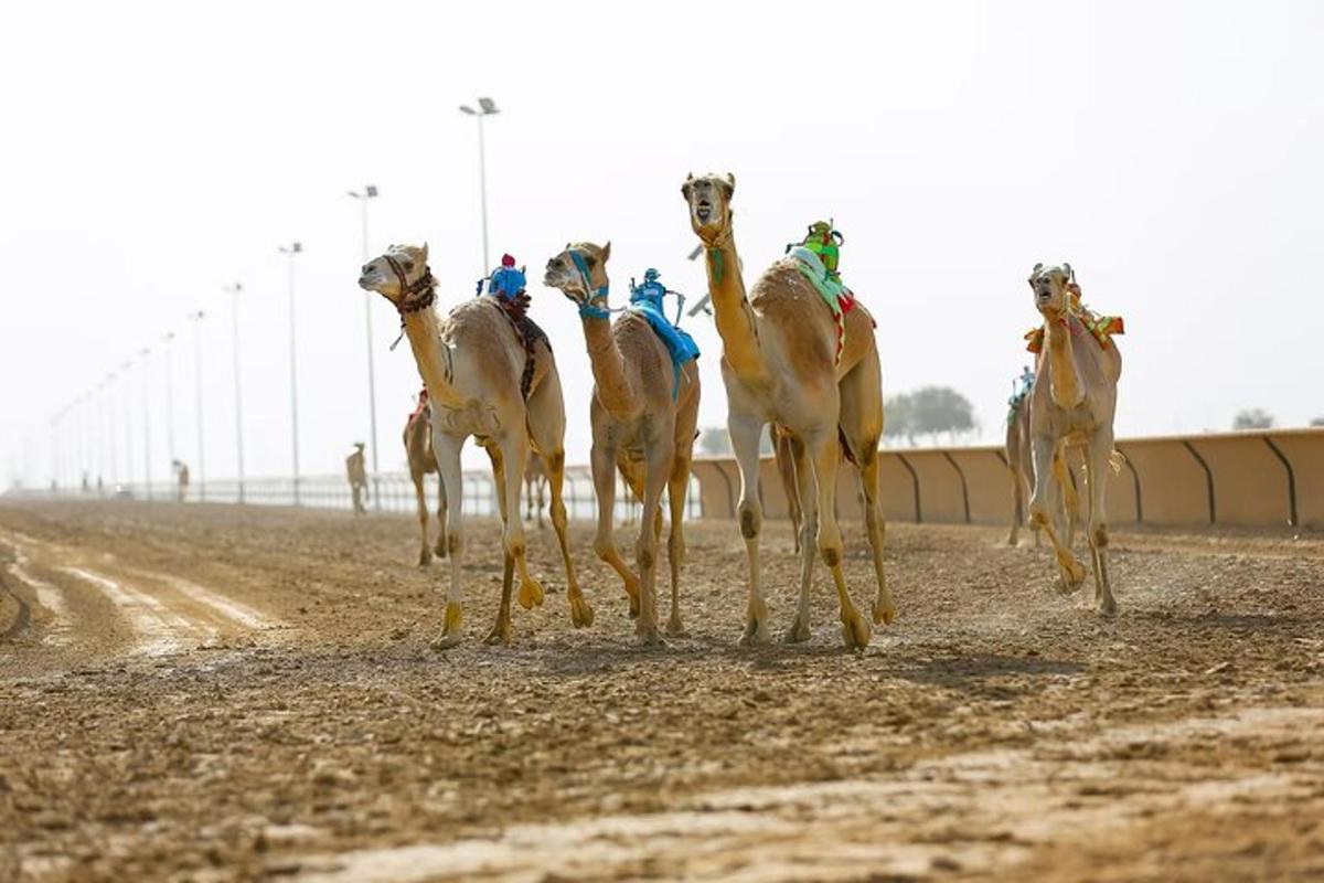 صورة رقم 5 للمعلم السياحي