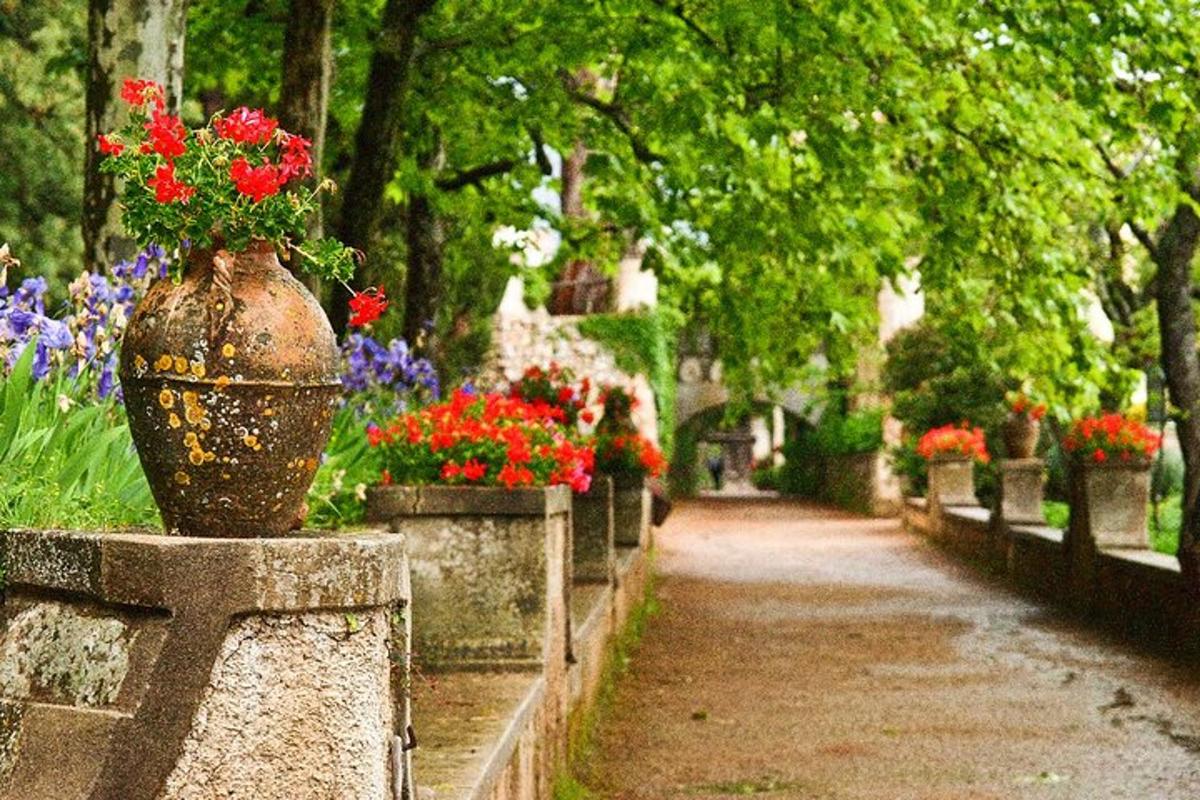 một chiếc bình đựng đầy hoa trên bức tường đá