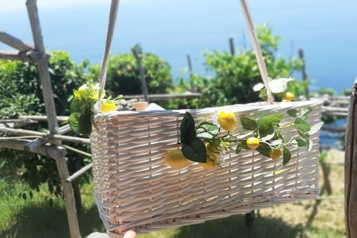 osoba držící košík s citroníkem