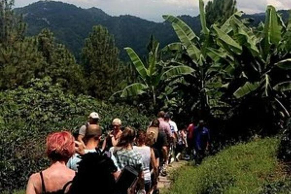 un gruppo di persone che camminano lungo un sentiero