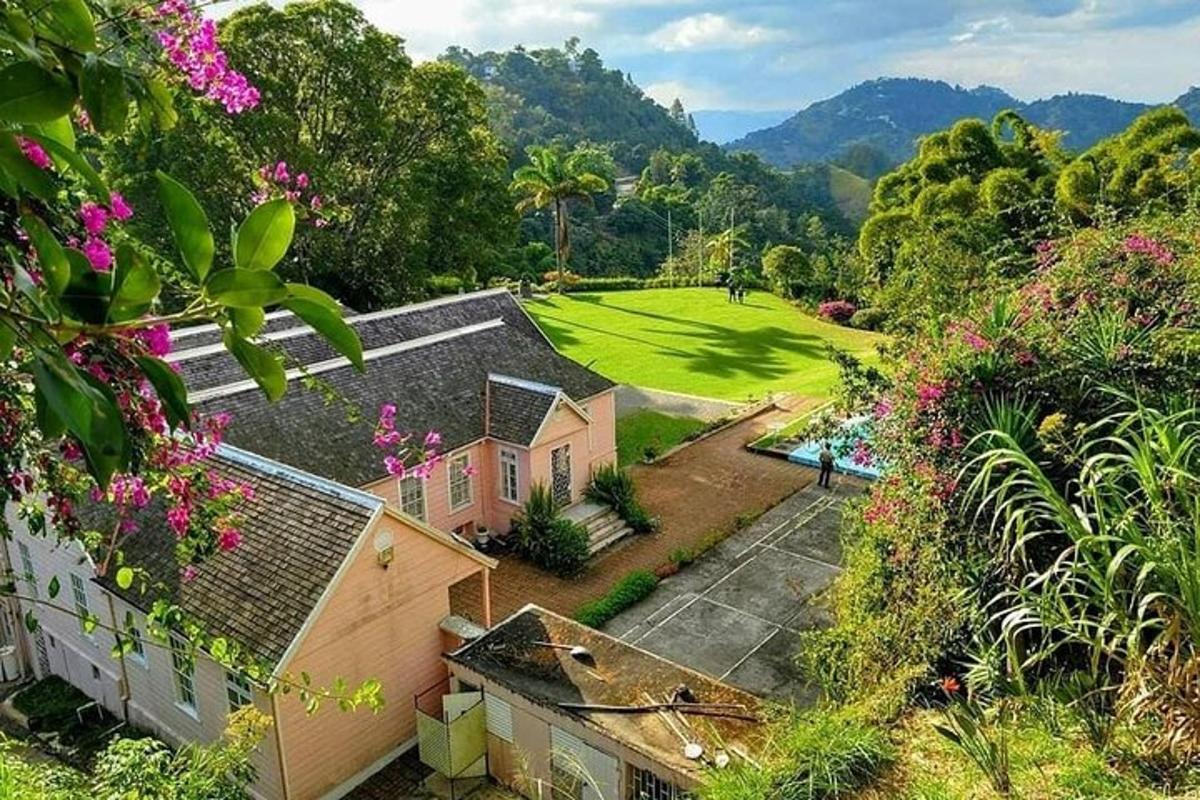 una vista aerea di una casa con cortile