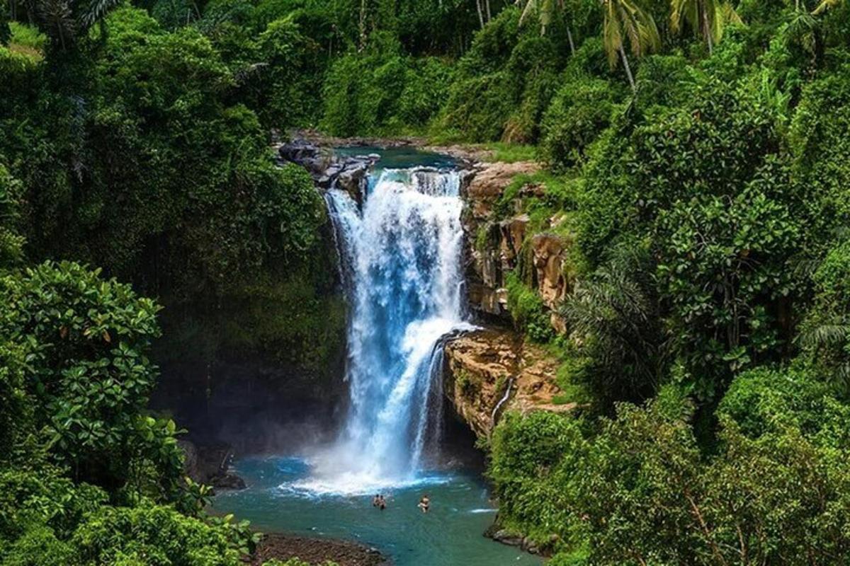 air terjun di dalam hutan dengan orang di dalam air