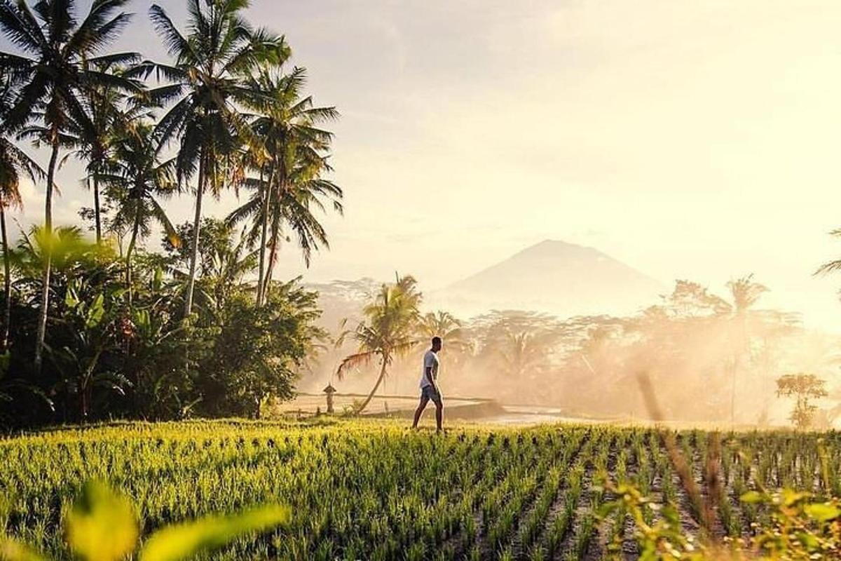 seorang lelaki berjalan melalui padang dengan pokok palma