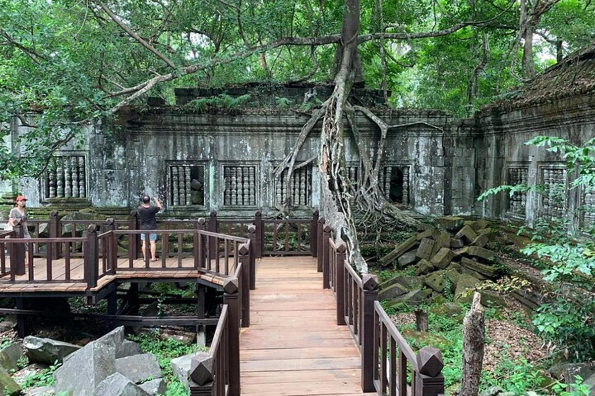 一座老建筑前的木桥