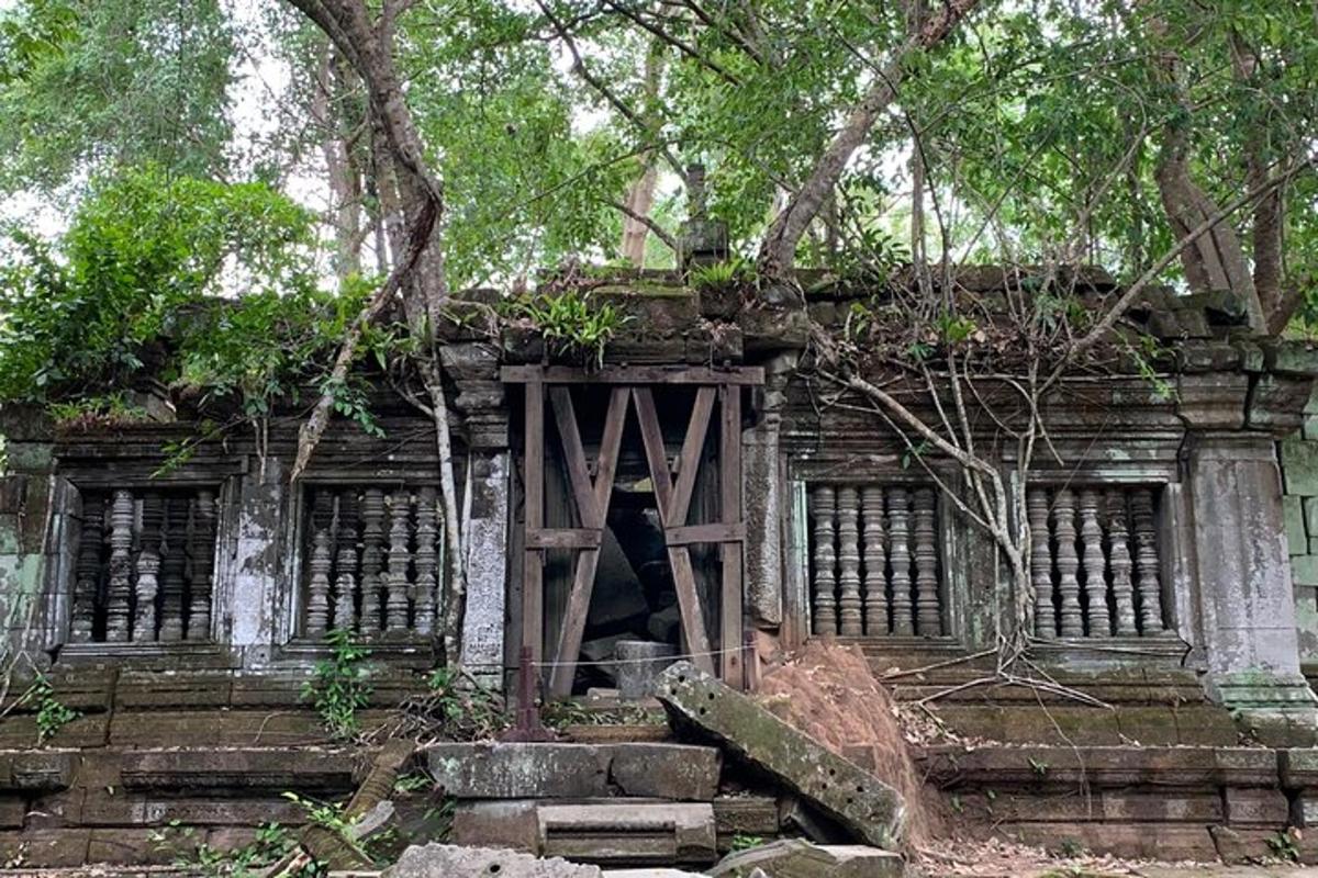 森林里一栋有门的老建筑