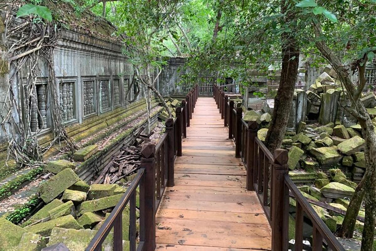 一条木制小路，通往一座有树木和岩石的建筑物