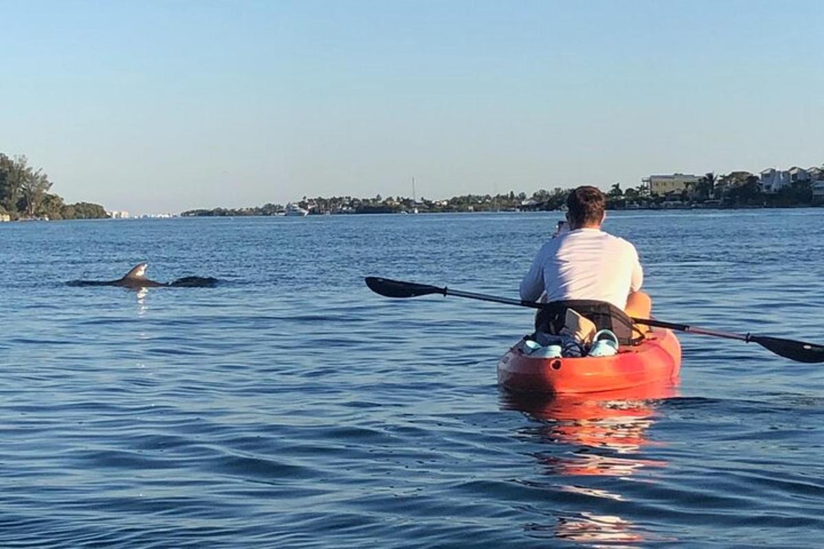 egy férfi egy kajakban a vízben egy delfinnel