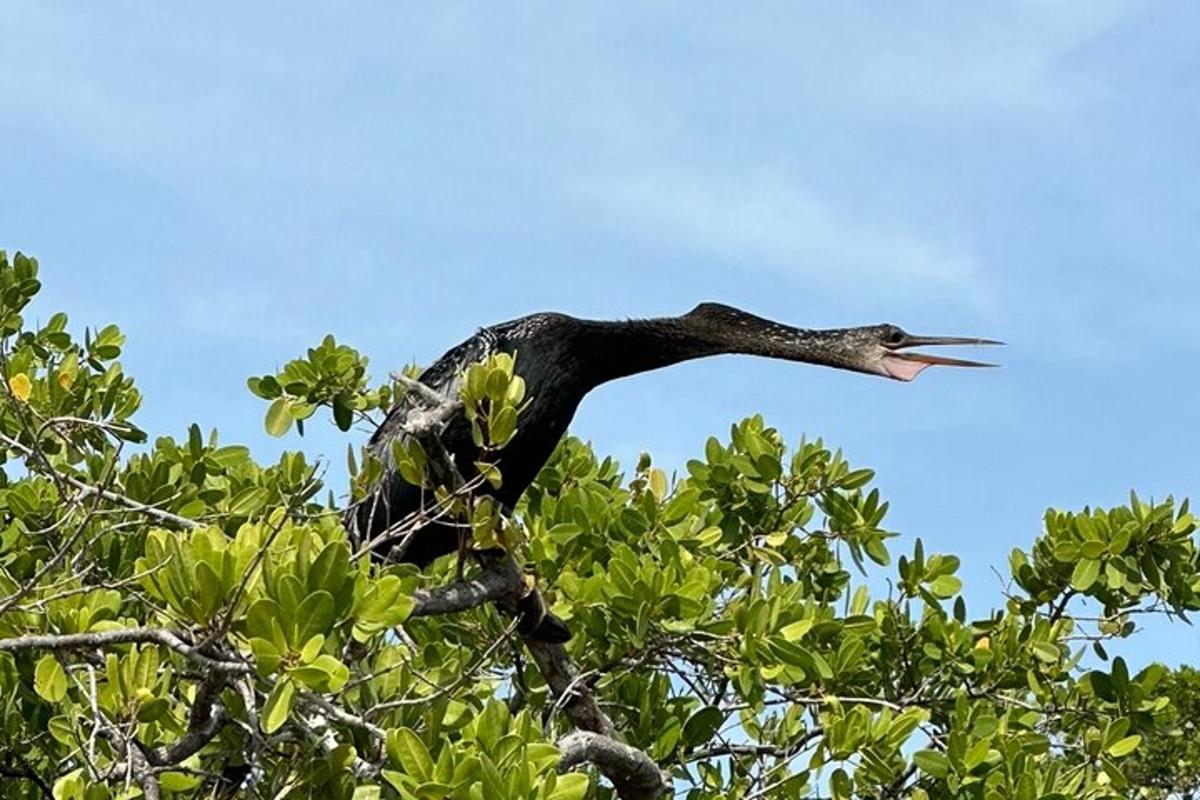 seekor burung hinggap di atas pokok