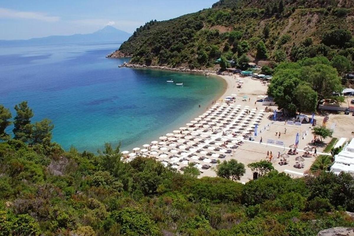 o plajă cu o grămadă de umbrele și oceanul