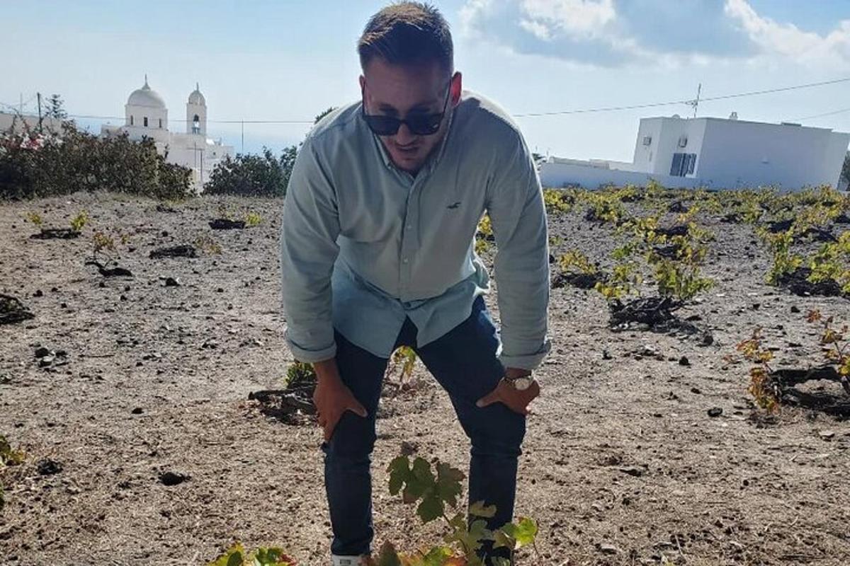 Un hombre con gafas de sol está mirando una planta.