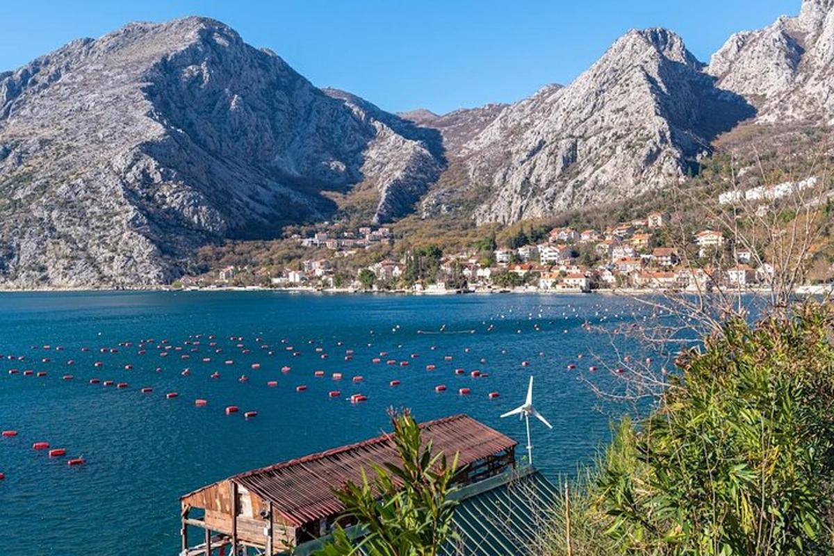 um lago com vários barcos na água