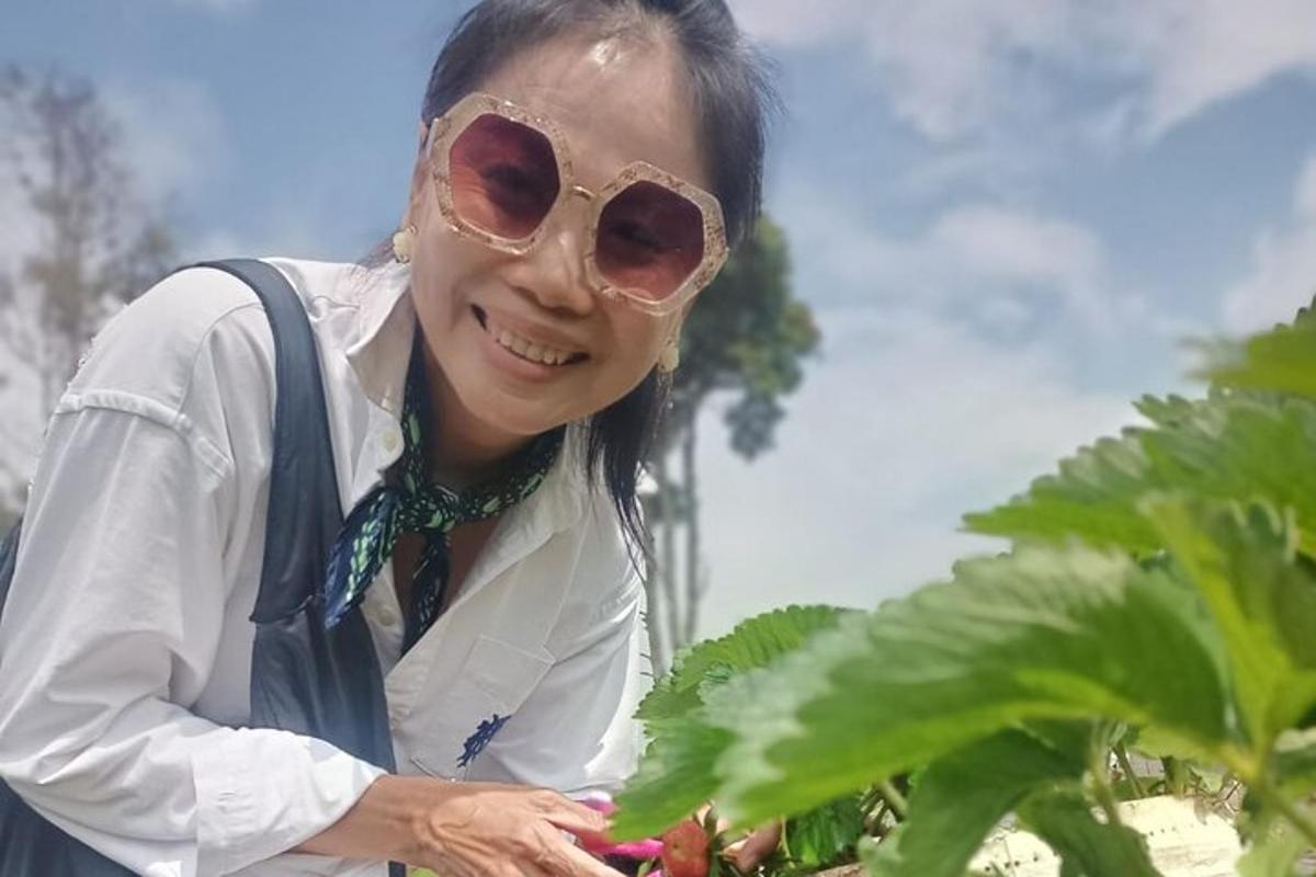 một người phụ nữ đeo kính râm đang nhìn một cái cây