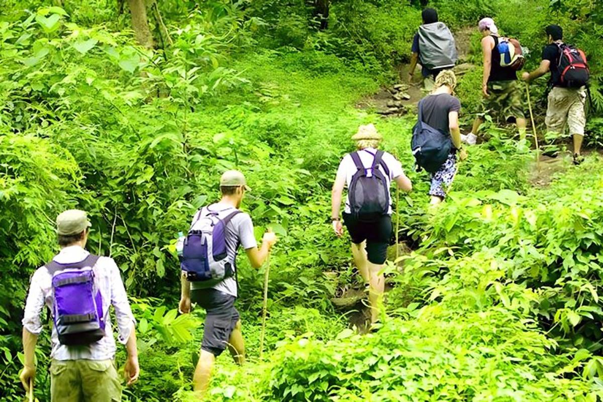 sekelompok orang berjalan di jalan setapak di hutan
