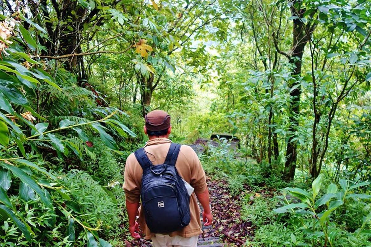 um homem com uma mochila caminhando por uma trilha na floresta