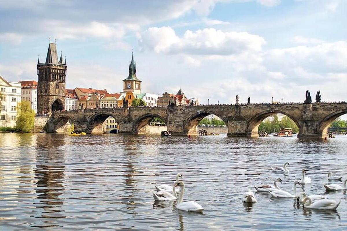 un grup de cignes a l'aigua davant d'un pont
