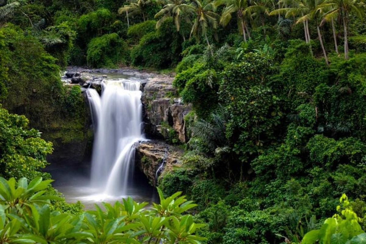 una cascada al mig de la selva