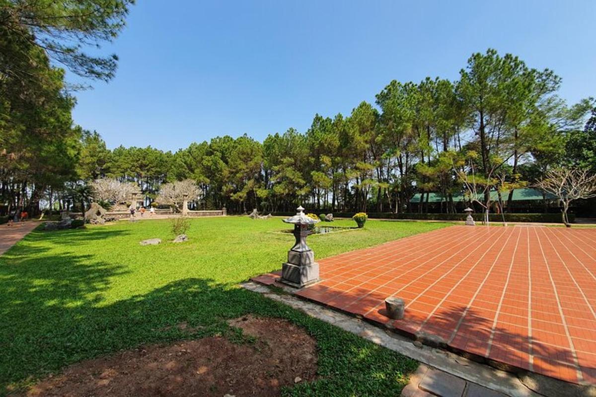park s kipom sredi polja