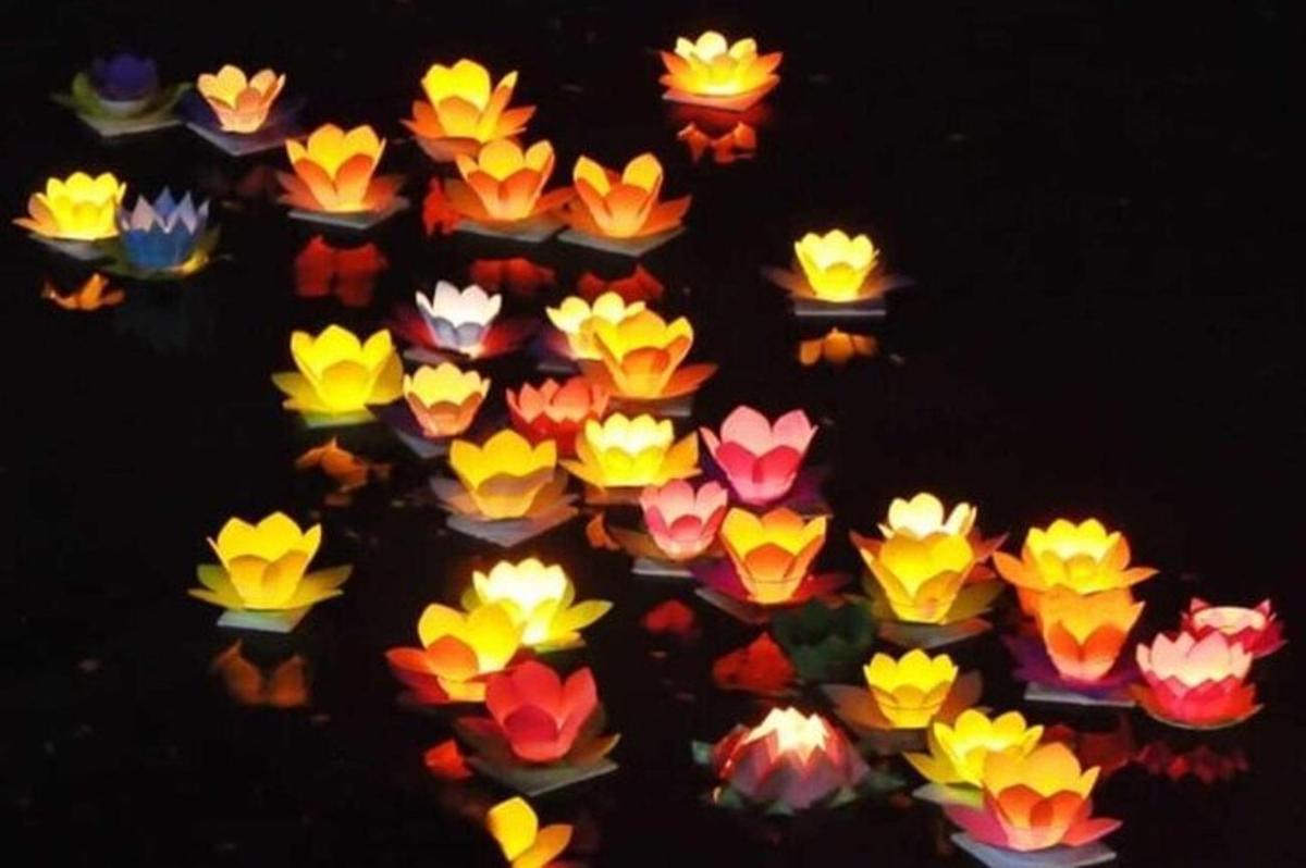Un grupo de flores de colores en el agua.