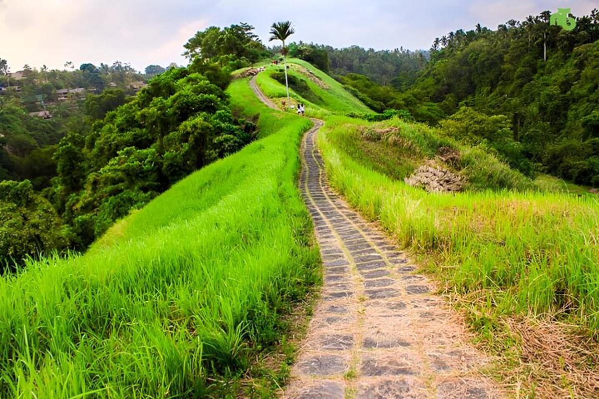 jalan tanah di tengah-tengah bukit berumput