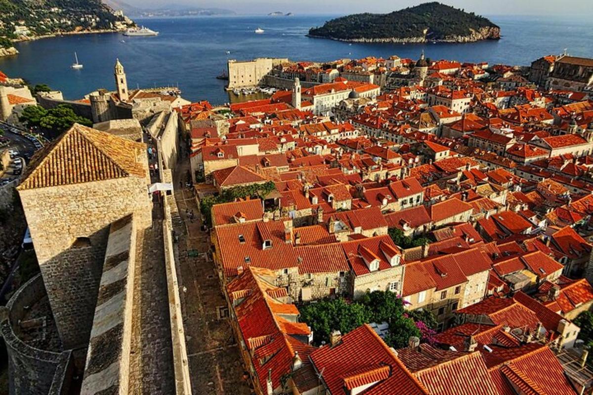an aerial view of a city with red roofs