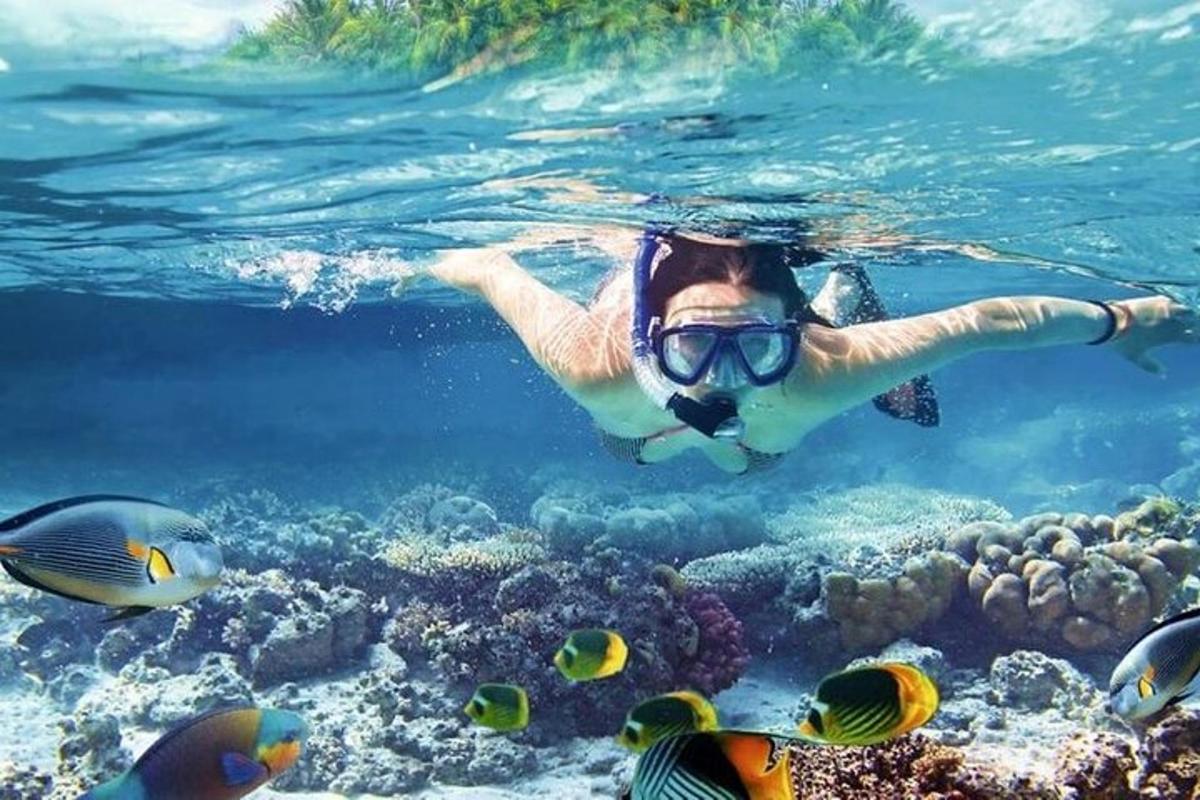 una persona che nuota nell'oceano con i pesci