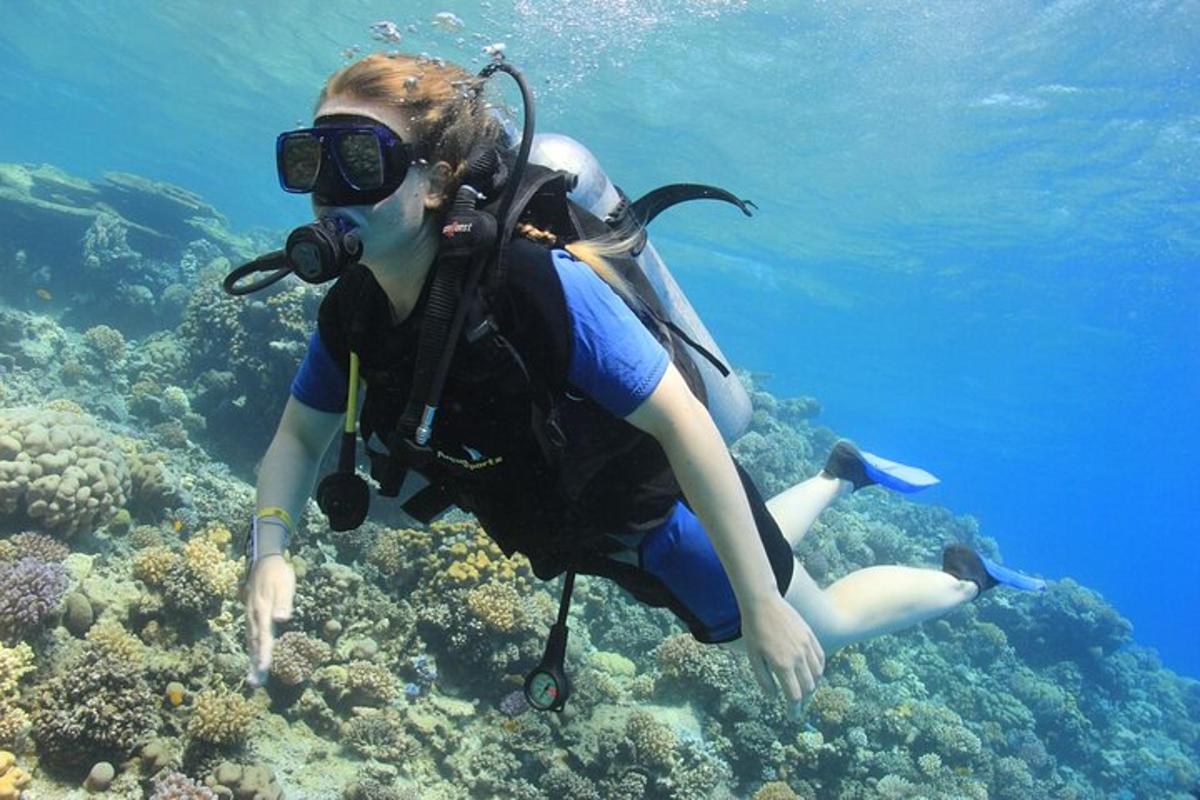 une femme en équipement de plongée sur un récif corallien