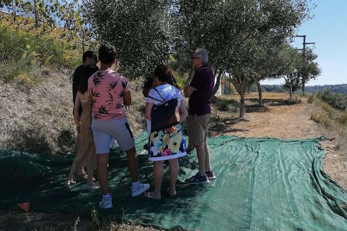 a group of people standing on a green tarp under a tree