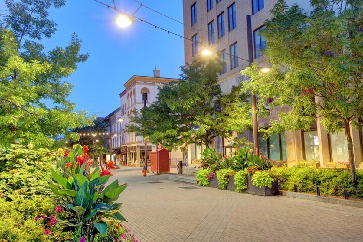 a city street with flowers and buildings and trees