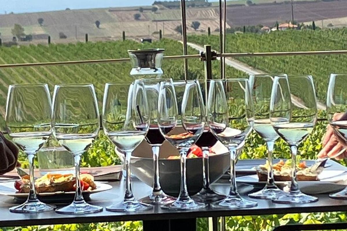 um grupo de taças de vinho sobre uma mesa com um vinhedo
